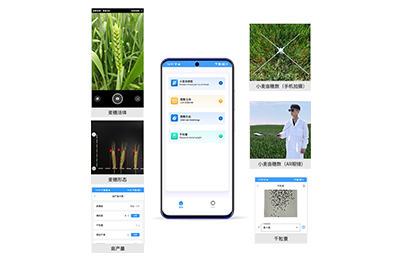 铜川市小麦亩穗数分析仪IN-XM02